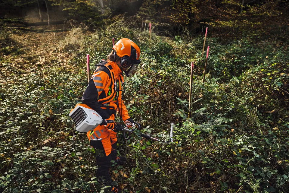 Baumpflege an jungen Straßenbäumen mit STIHL HLA 140