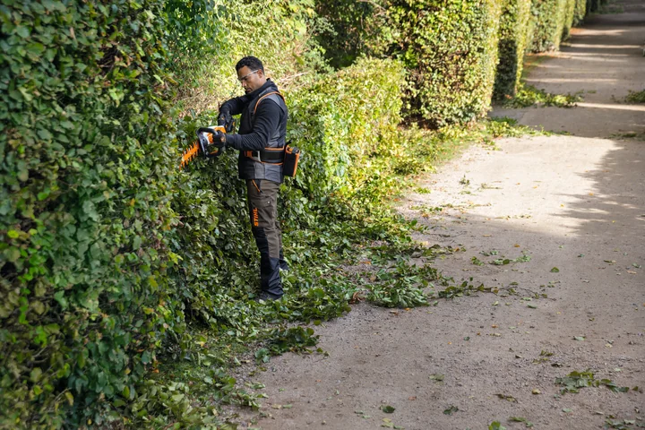 STIHL HSA 100